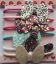 Bild von Haargummi Schmetterling bunt Set    (6)
