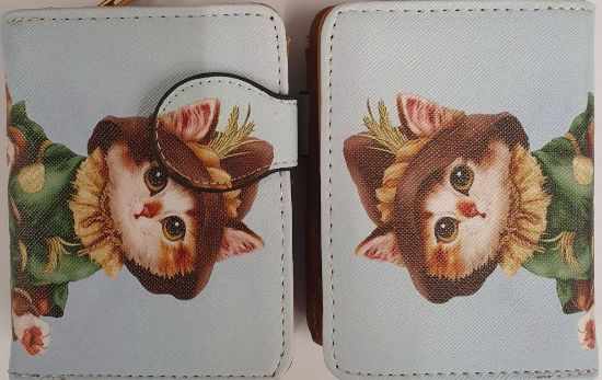 Bild von Geldbörse Katze mit Hut 